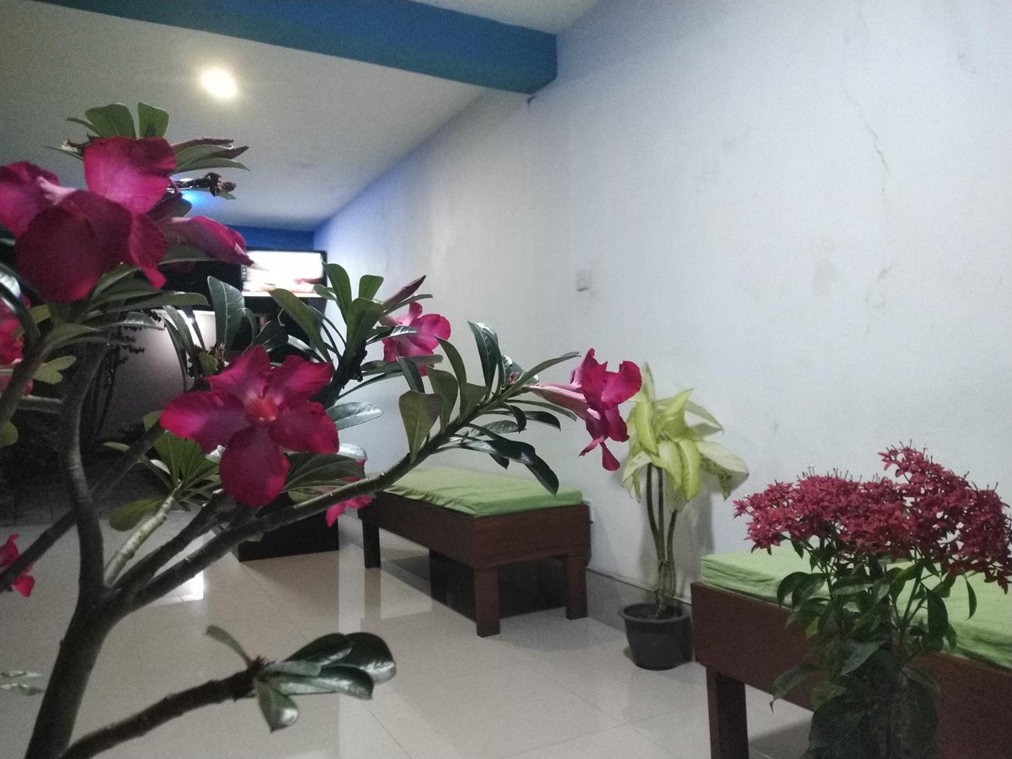 Blue Bell Hotel Negombo Exterior foto
